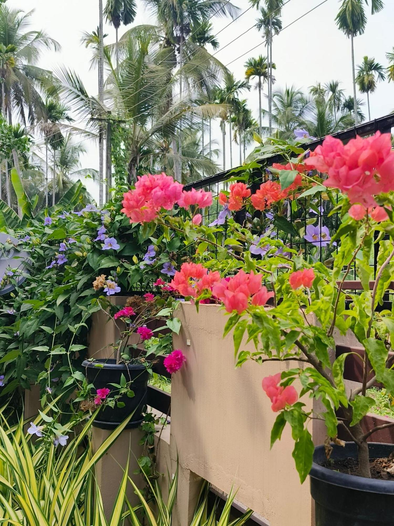 Swasth The Riviera Lovedale Nilambūr 객실 사진